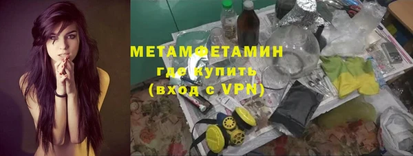 гидра Вязьма